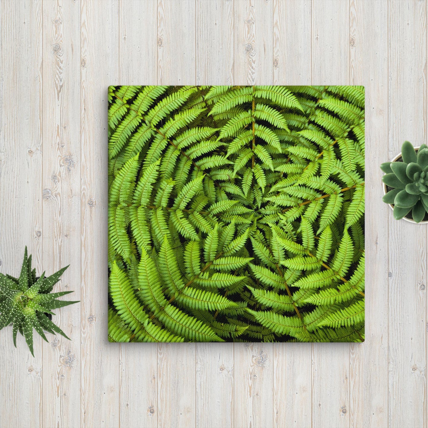 Canvas print GREEN FERN FLOWER