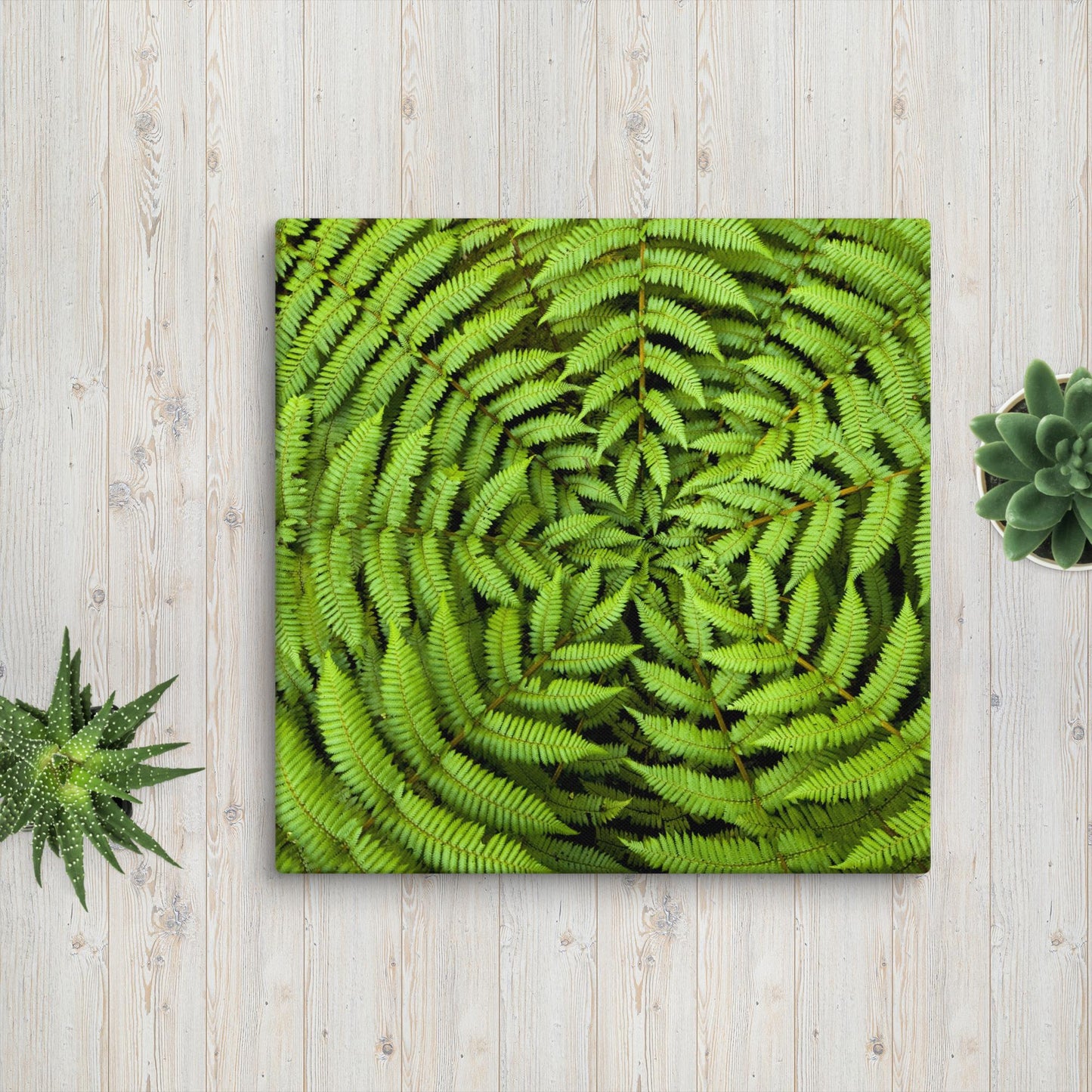 Canvas print GREEN FERN FLOWER