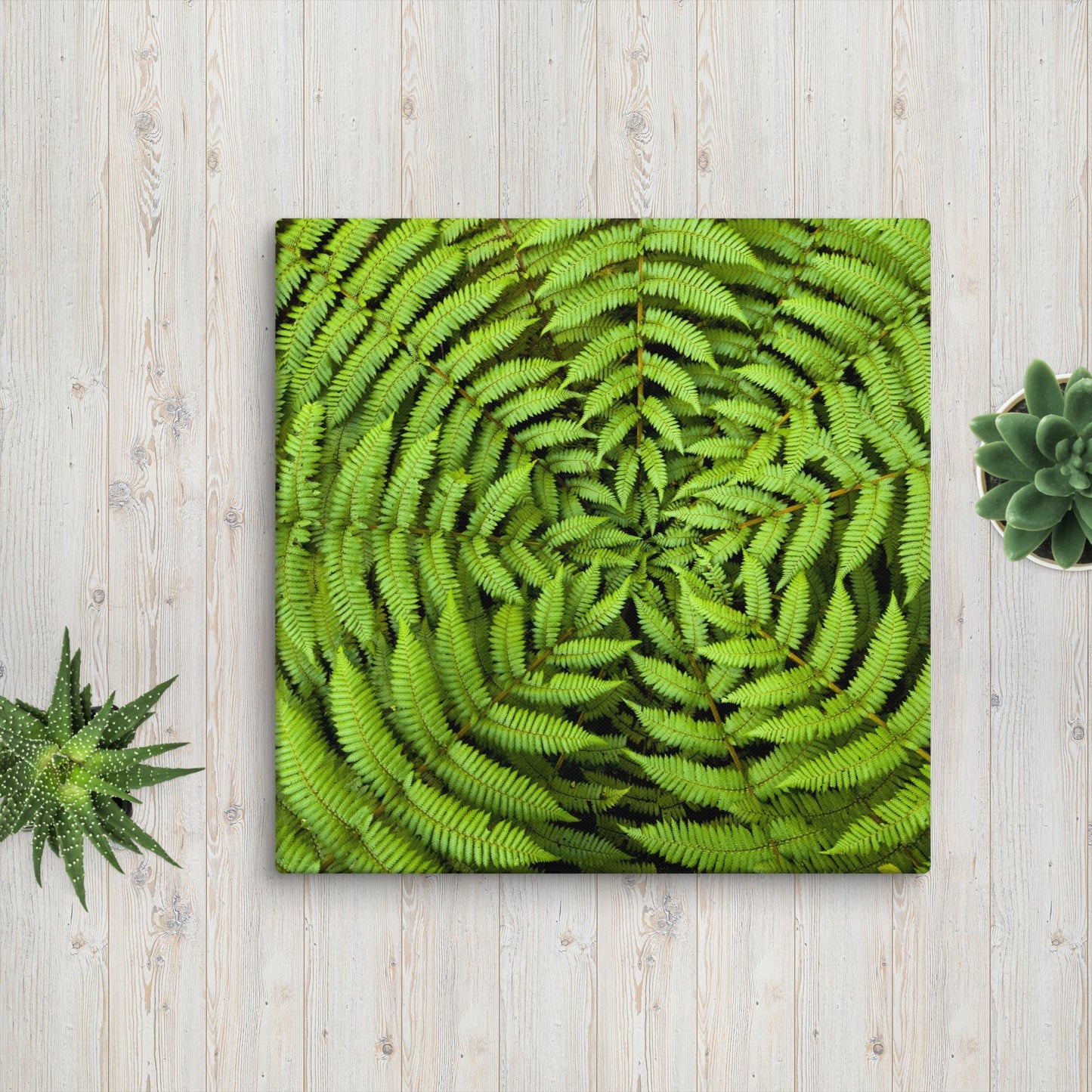 Canvas print GREEN FERN FLOWER